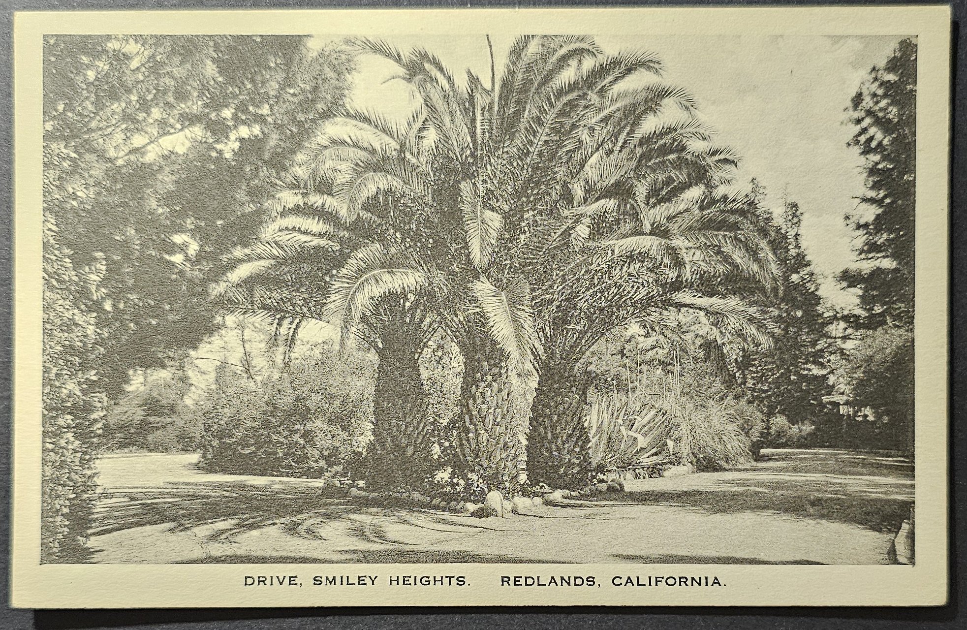 (image for) postcard USA - CA - California #0080